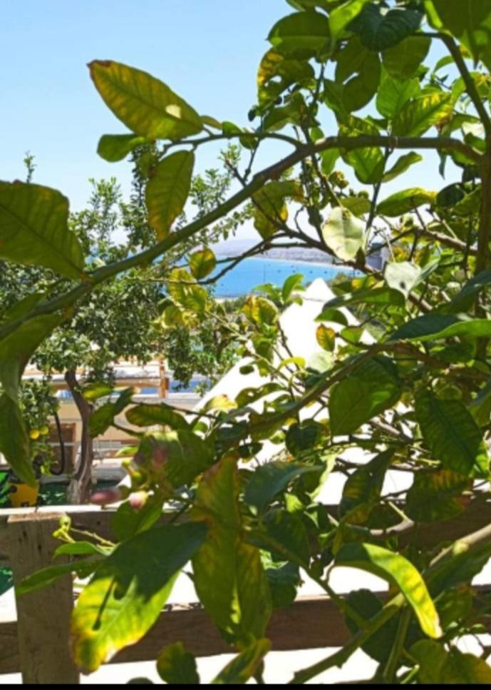 Queens Luxury Glamping Palaiokastro  Buitenkant foto