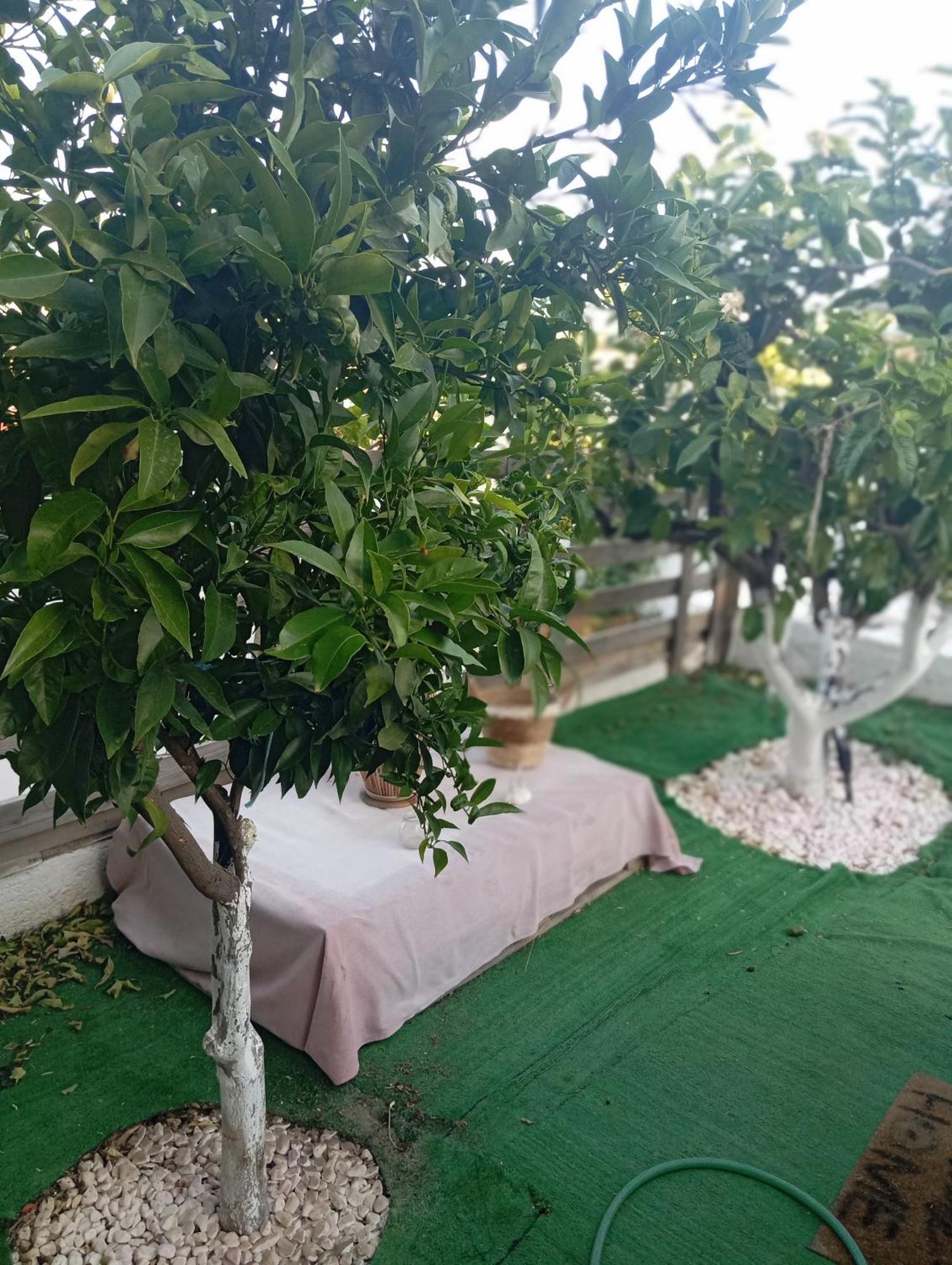 Queens Luxury Glamping Palaiokastro  Buitenkant foto