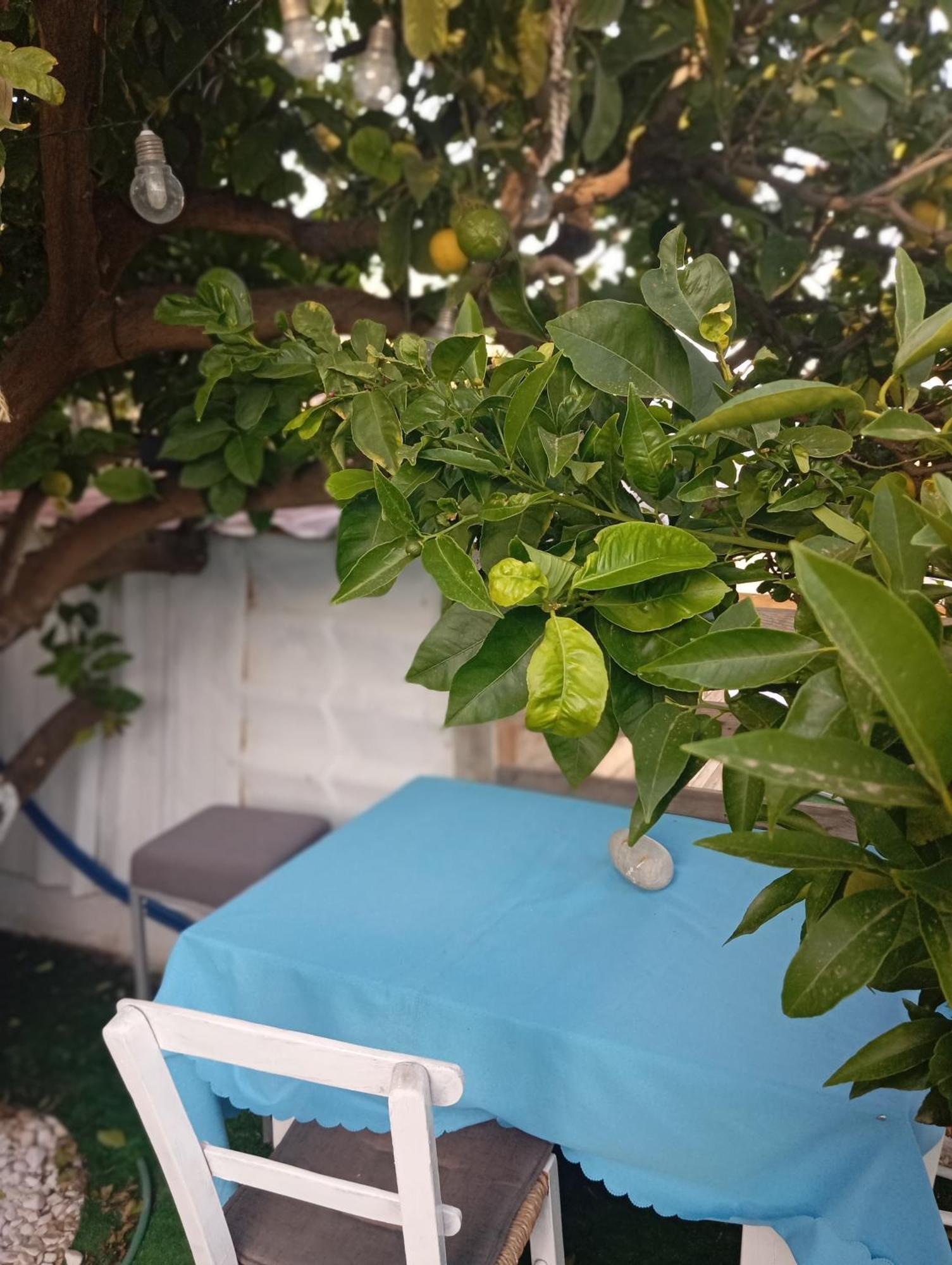 Queens Luxury Glamping Palaiokastro  Buitenkant foto